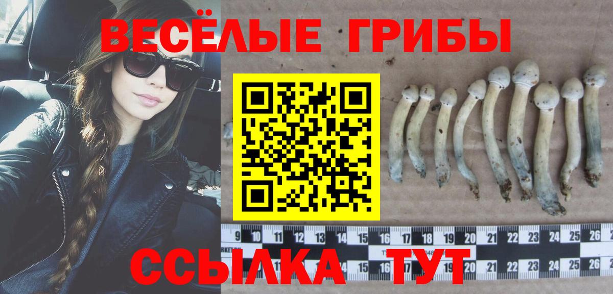 Галлюциногенные грибы прущие грибы Луга